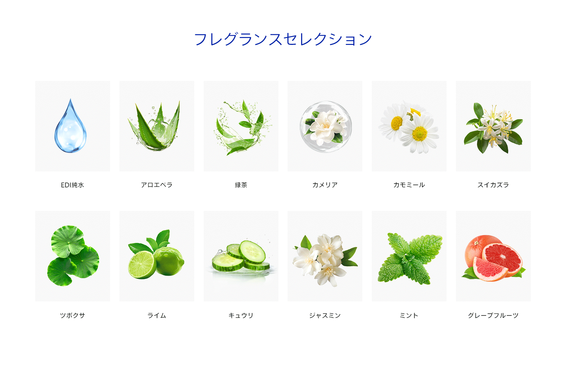 网页EOM-日文_07.png